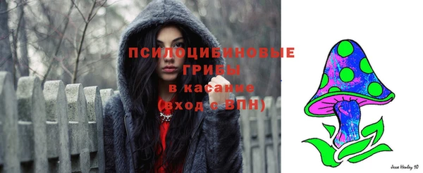 стафф Армянск