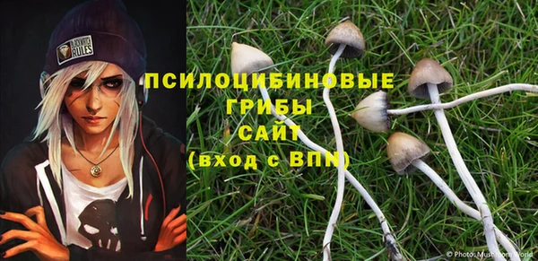 стафф Армянск